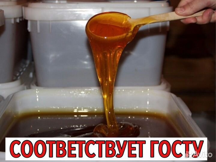 Мёд оптом с Алтая в Магнитогорск