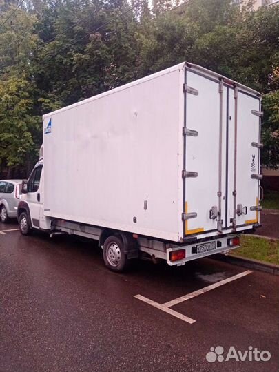 Грузоперевозки