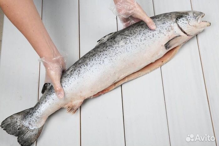 Семга свежемороженая