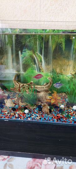 Аквариум