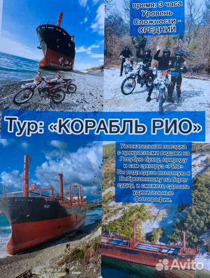 Конные прогулки, дайвинг, джиппинг, эндуро, квадры