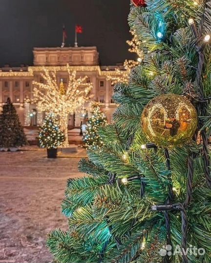 Автобусный тур на Новый год в Санкт-Петербург из Ч