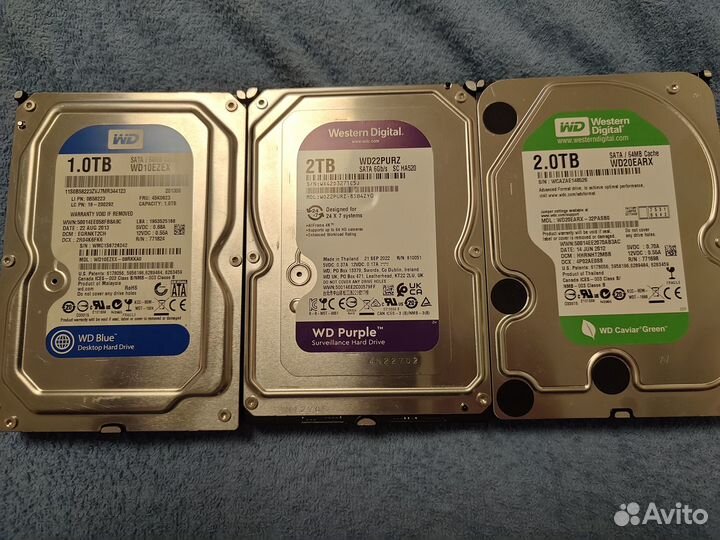 Hdd 2 tb WD Purple Green Blue