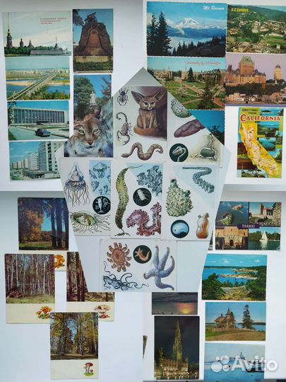 Открытки СССР Сказки Персонажи Собаки Природа