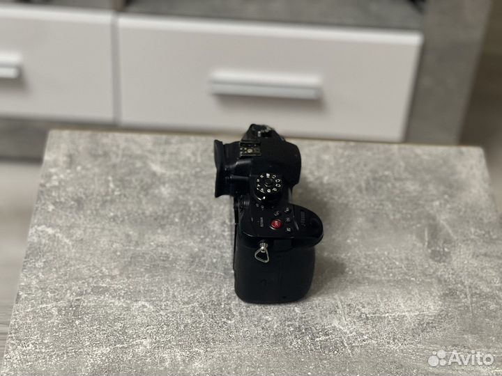 Panasonic lumix gh5s