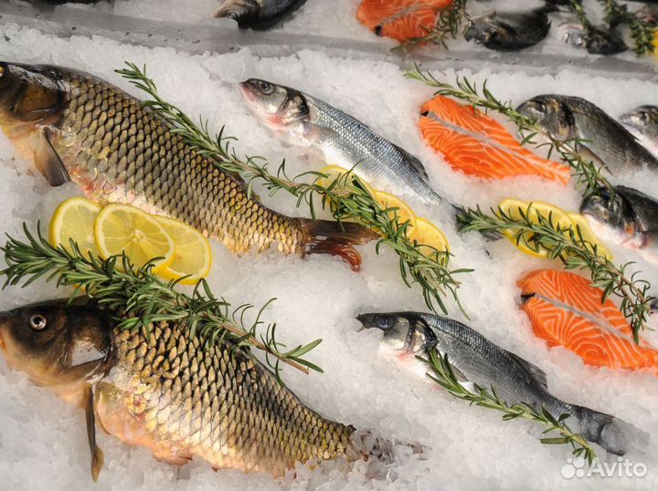 Готовый бизнес: прибыльный рыбный магазин