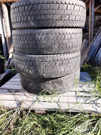 Шины 245 70 19.5 Кама