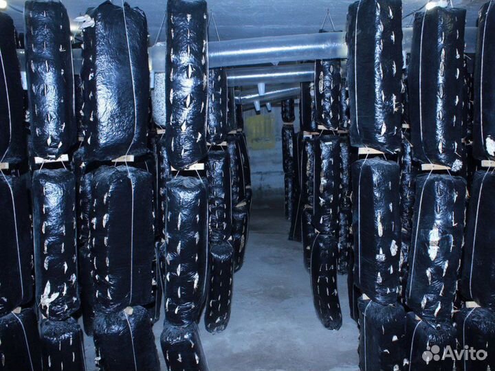 Инвестиции в бизнес. Ищу инвестора