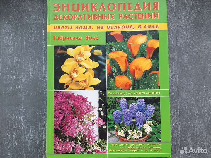 Энциклопедия комнатных растений