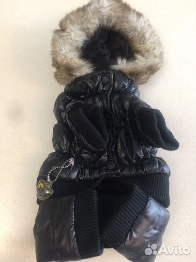 Одежда для собак мелких пород