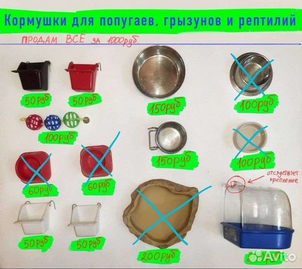 Кормушки для попугаев, грызунов и рептилий