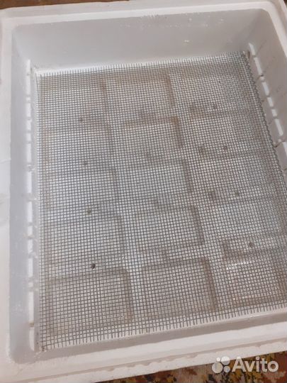 Продам инкубатор на 60 яиц