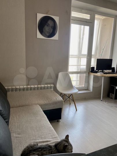 Квартира-студия, 28 м², 15/16 эт.