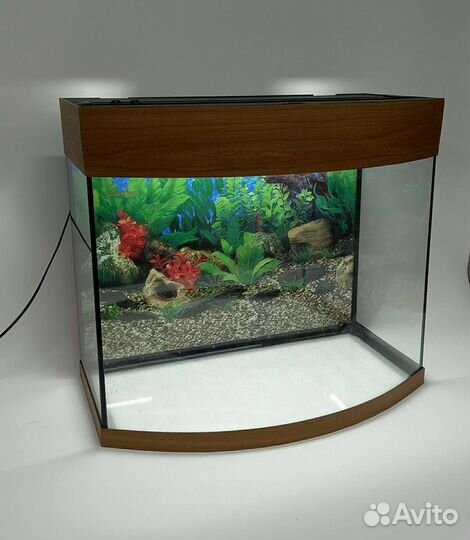 Аквариумы и террариумы от производителя