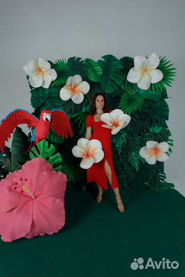 Фотозона аренда