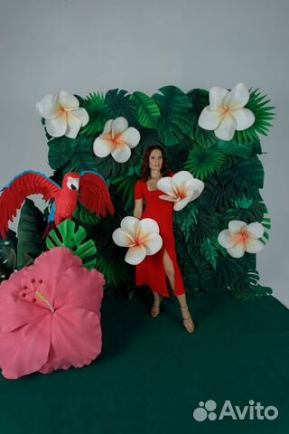 Фотозона аренда