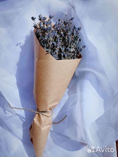 Лаванда сухоцвет