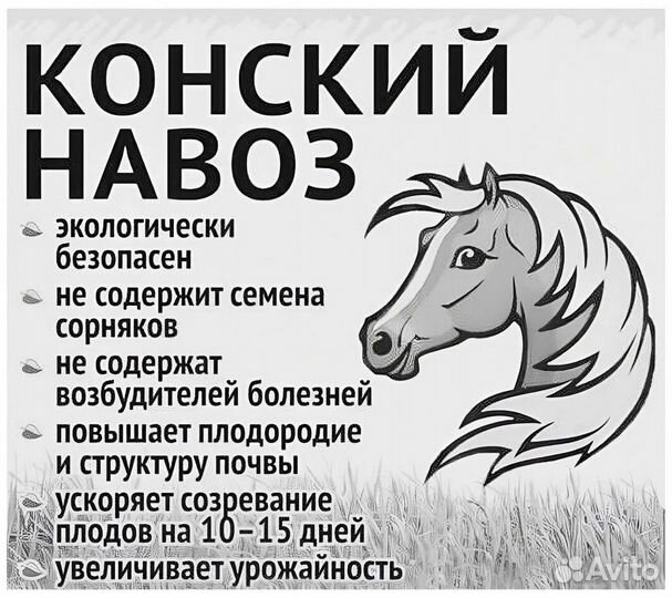 Конский навоз