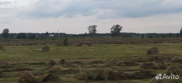 Сено в рулонах с доставкой
