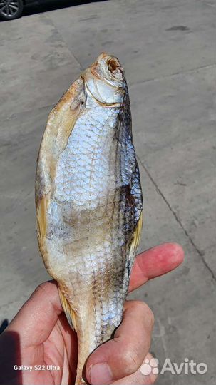 Астраханская вяленая вобла