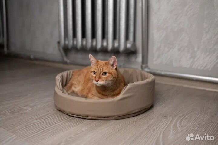 Лежанка для кошек и маленьких собак