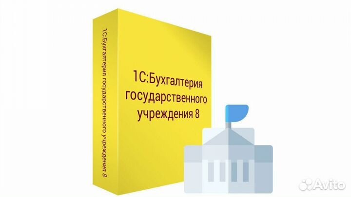 Сопровождение 1С в бюджетных учреждениях
