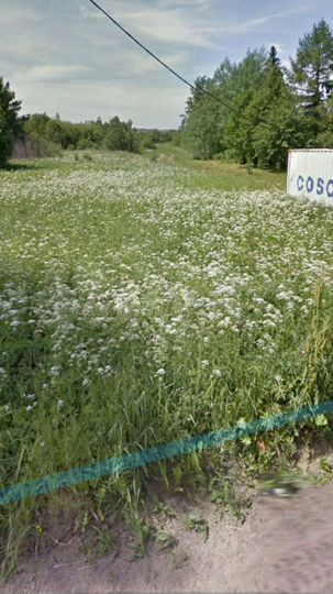 Участок 20 сот. (ИЖС)