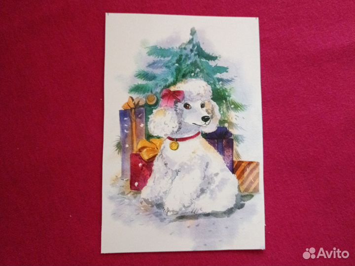 Открытка Нарядная