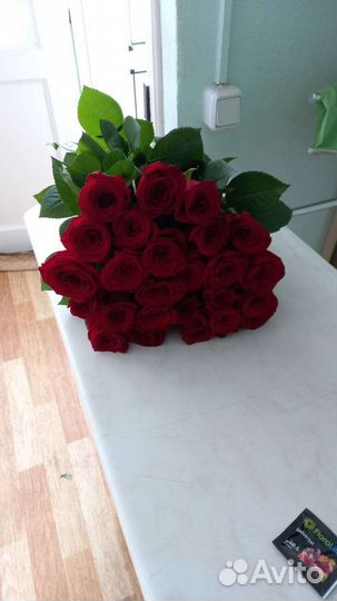 Розы свежие красивые 