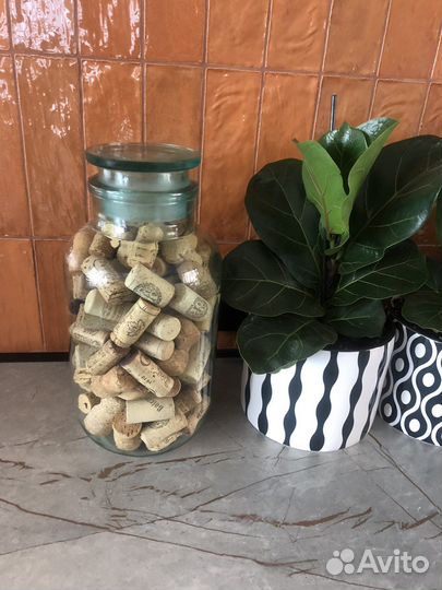 Бутыль. СССР. 3 л