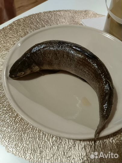 Сырок(пелядь) в горчичной заправке