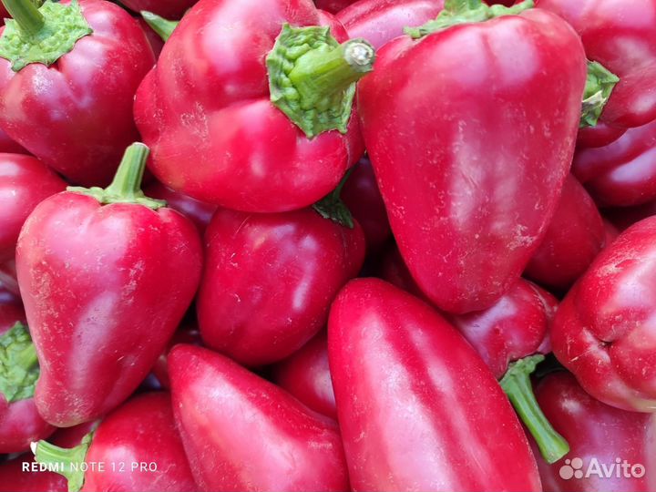 Доставка продуктов питания