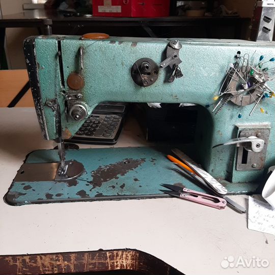 Прямострочка промышленная