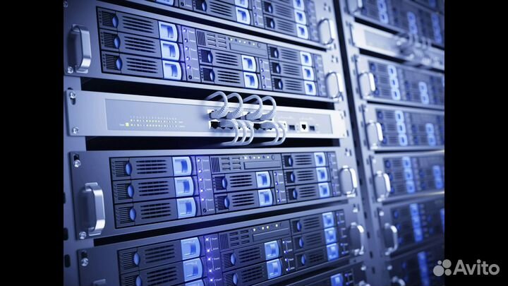 Плотинг чиа