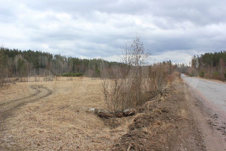 Участок 2,6 га (СНТ, ДНП)