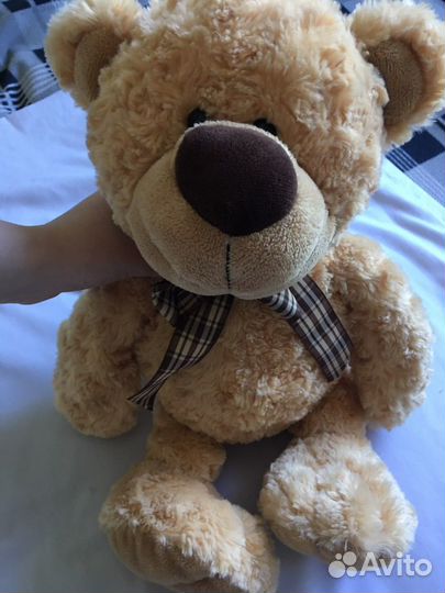Плюшевый медведь