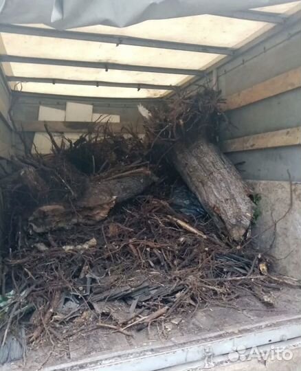 Вывоз мусора любого