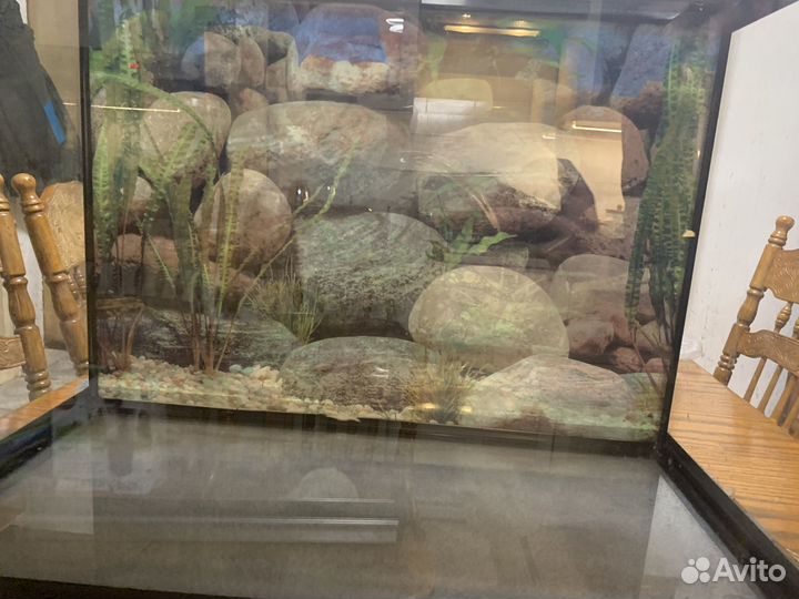 Аквариум новый
