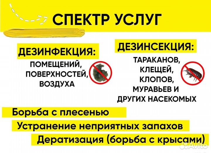 Уничтожение тараканов клопов Дезинфекция Травля