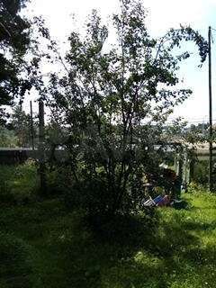 Участок 21 сот. (ИЖС)