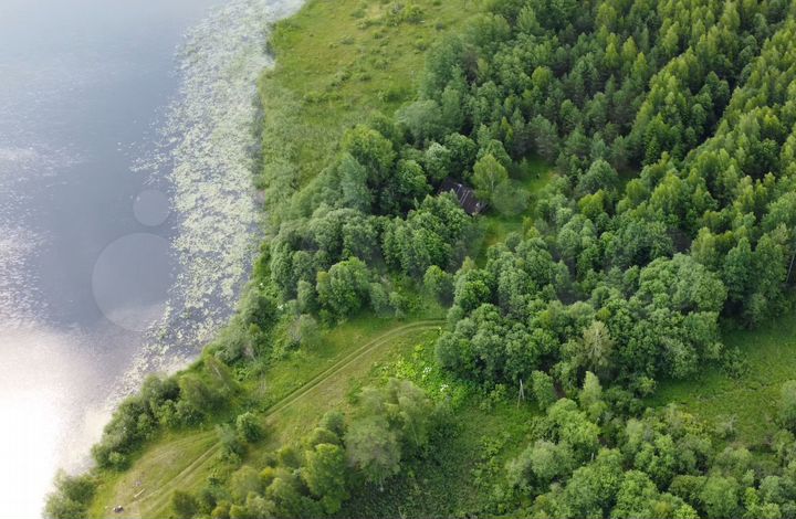 Участок 50 сот. (ИЖС)