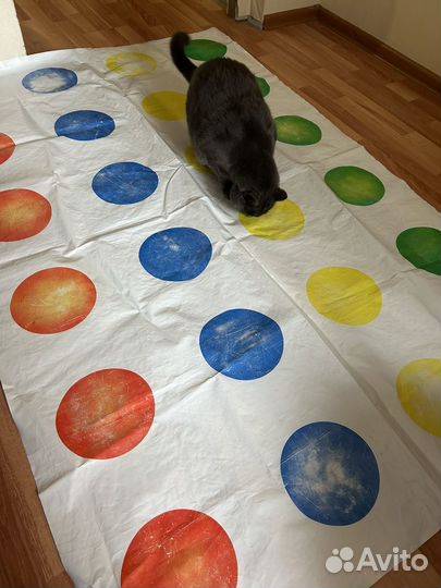 Игра твистер