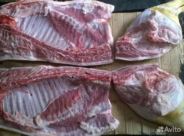 Мясо свинина домашняя