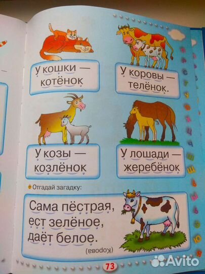 Азбука для малышей Жукова 2-5 лет