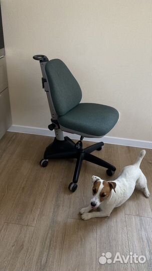 Ортопедическое кресло для школьника comf-pro