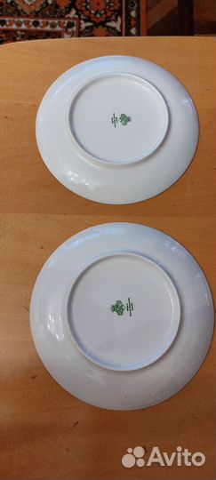 Тарелки Эльминау Германия