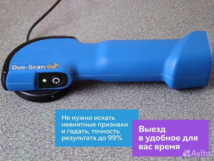 Определение беременности у коз. Выезд