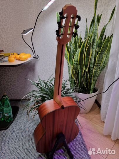 Акустическая гитара doff 026