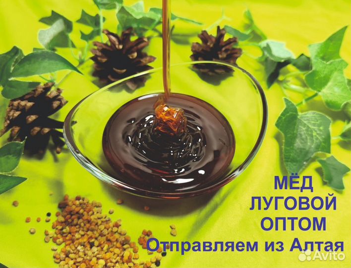 Алтайский мед (оптом)