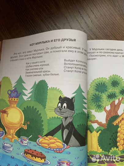 Книга Я говорю правильно